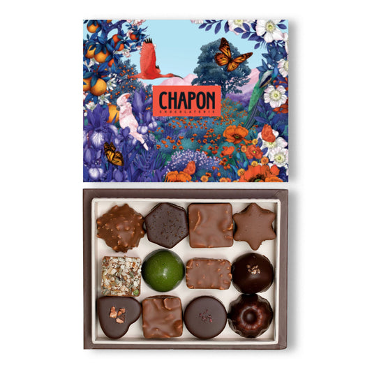 Coffret fourreau institutionnel 12 chocolats