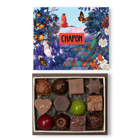 Coffret institutionnel 24 chocolats