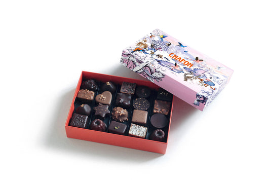 Coffret 40 chocolats - Trésors cachés de la Chaponie